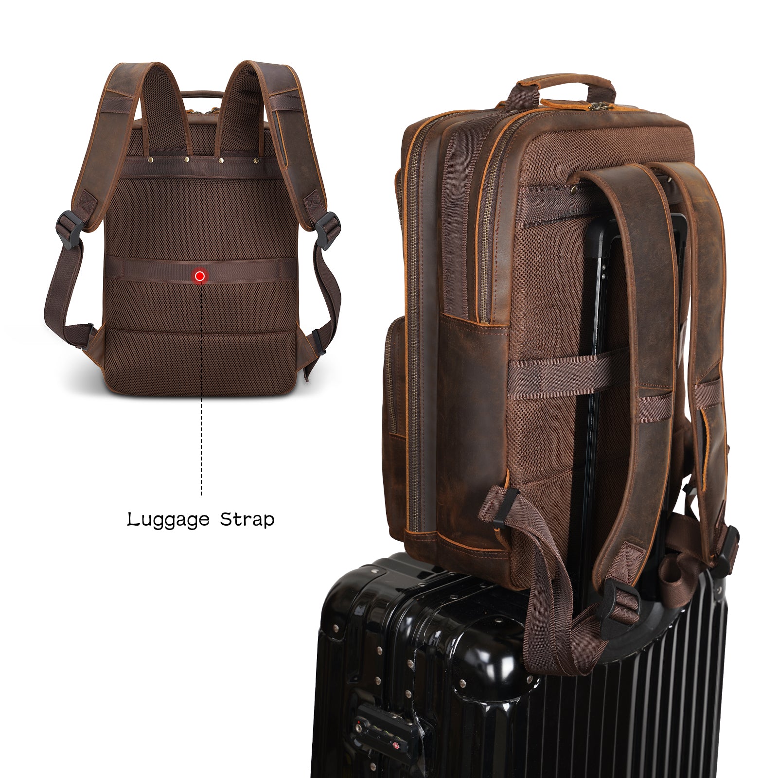Polare Full Grain Leather Backpack Business Travel DayPack (Back)
